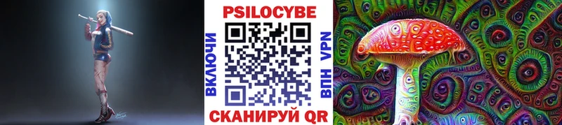 Псилоцибиновые грибы прущие грибы Пудож