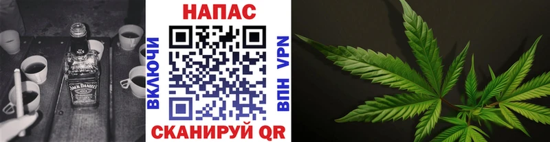 Канабис SATIVA & INDICA  цена наркотик  Пудож 